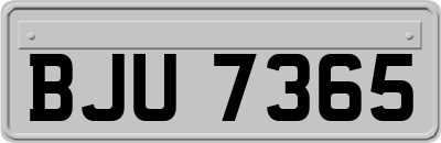 BJU7365