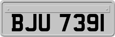BJU7391