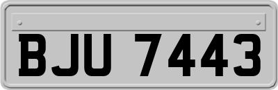 BJU7443