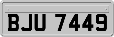 BJU7449