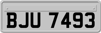 BJU7493