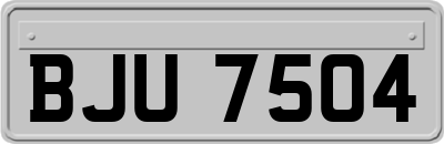 BJU7504