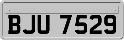BJU7529