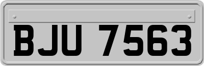 BJU7563