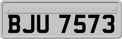 BJU7573