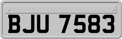 BJU7583