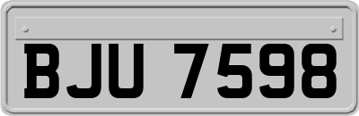 BJU7598