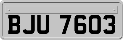 BJU7603