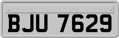 BJU7629