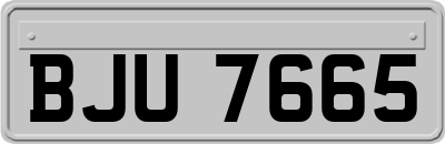 BJU7665