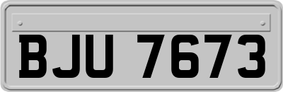 BJU7673