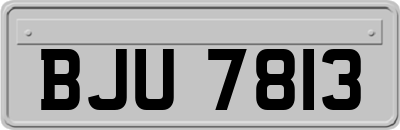 BJU7813