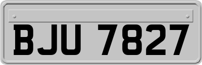 BJU7827