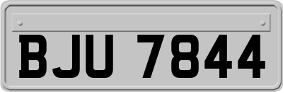 BJU7844