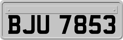 BJU7853