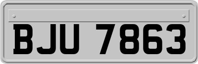 BJU7863
