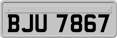 BJU7867