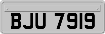 BJU7919