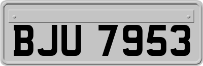 BJU7953