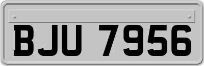 BJU7956