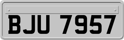 BJU7957