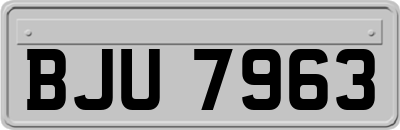 BJU7963