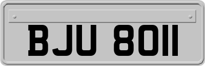 BJU8011