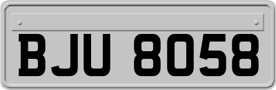 BJU8058