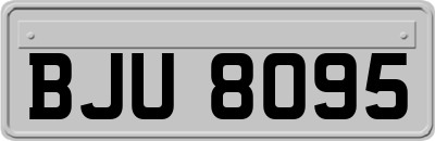 BJU8095