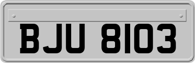 BJU8103