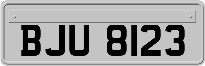 BJU8123