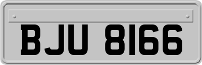 BJU8166