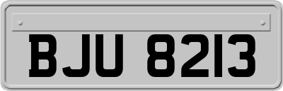 BJU8213