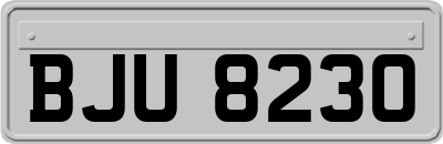 BJU8230