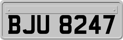 BJU8247
