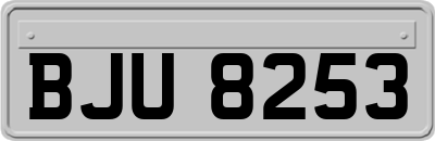 BJU8253