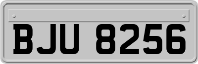BJU8256