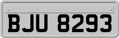 BJU8293