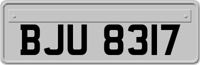 BJU8317