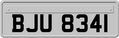 BJU8341