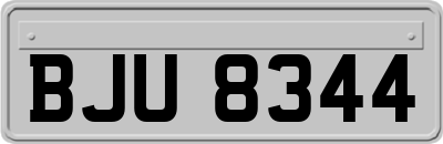 BJU8344