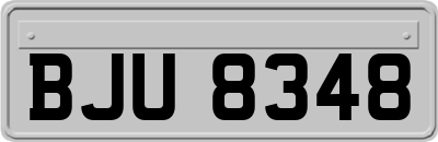 BJU8348
