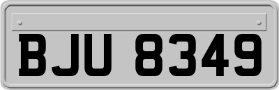 BJU8349