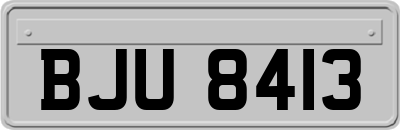 BJU8413