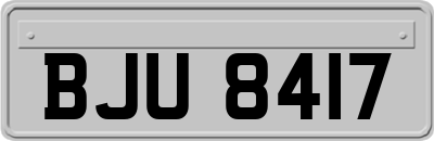 BJU8417