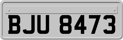 BJU8473