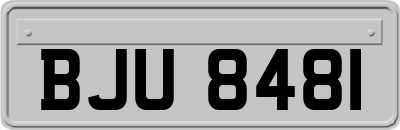 BJU8481