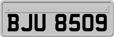 BJU8509