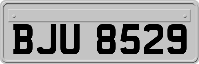 BJU8529