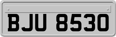 BJU8530